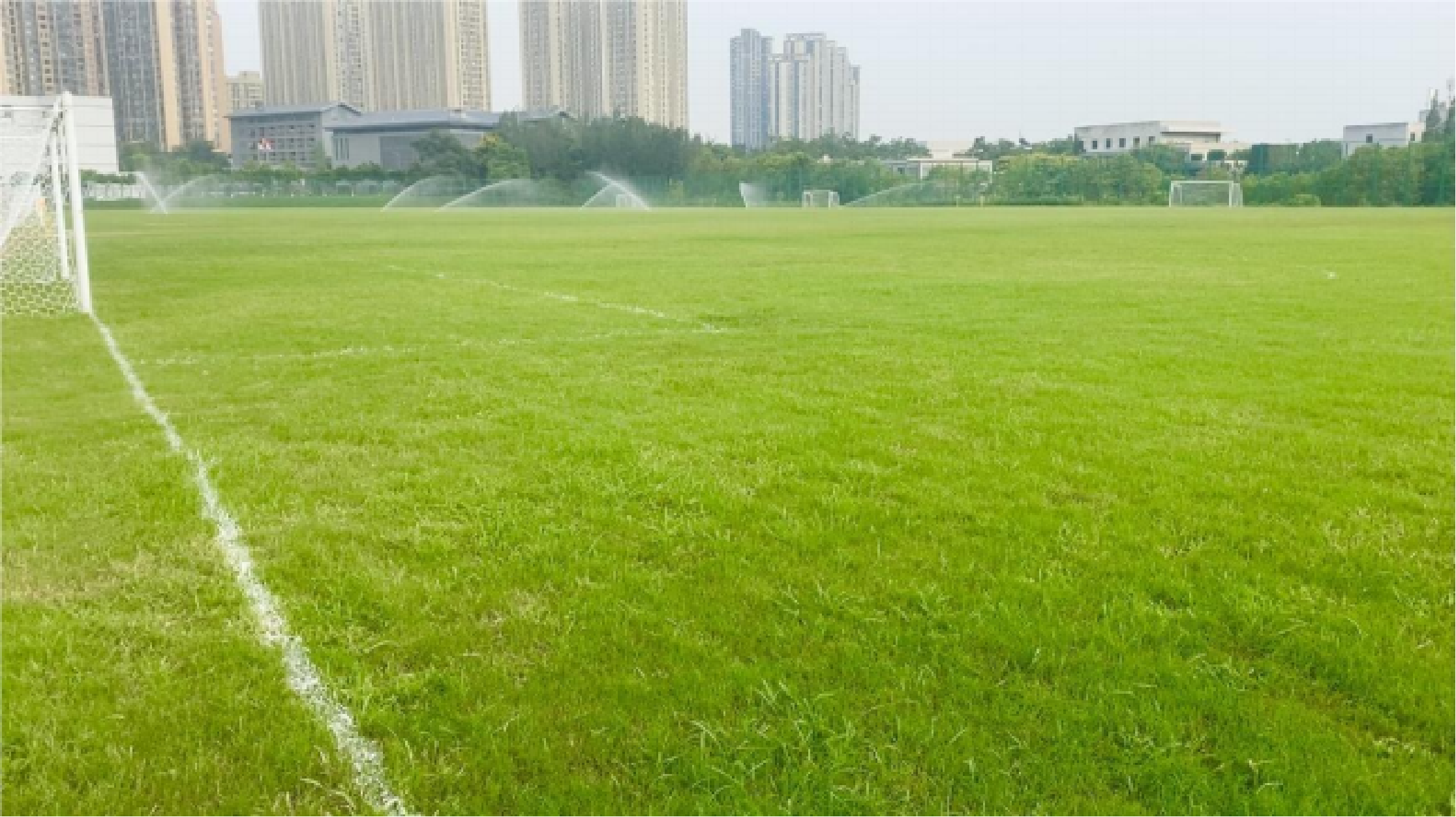 足球场训练照片